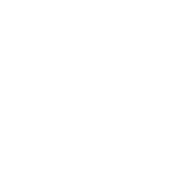 لوگو بی بی جان بیگم